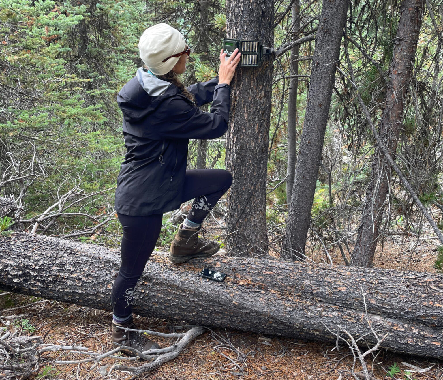 Smarter Wildlife Monitoring Through Optimized Survey Design – Analytics ...